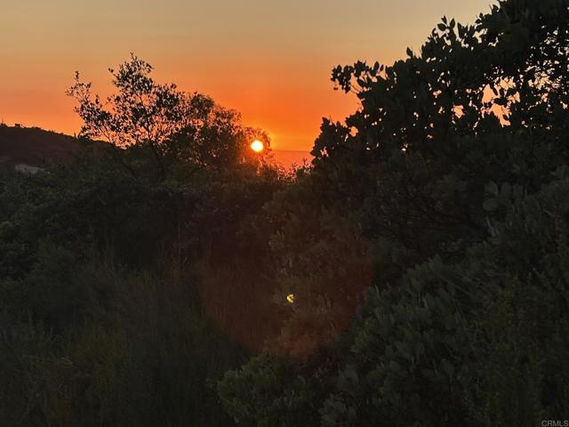 0 Skyline Truck Trail, Jamul CA: https://media.crmls.org/mediaz/5cc32bf4-0098-478b-aa4e-f00beb19720f.jpg