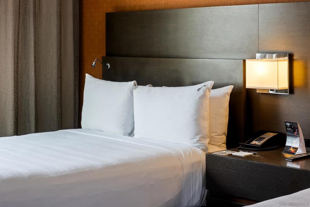 MLS #250033330SD image #10