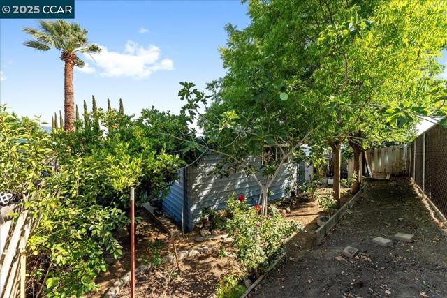 100 Welcome Ave, Concord CA: https://media.crmls.org/mediaz/5ccecea6-089e-485e-bee2-c03956647380.jpg