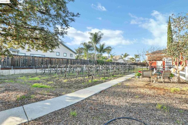 3215 Ohara Ave, Brentwood CA: https://media.crmls.org/mediaz/5cd1b9de-e6a7-4956-99ab-88b9206e12fa.jpg