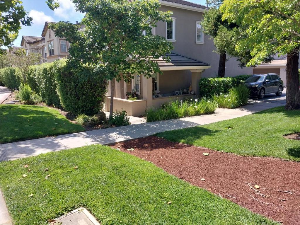 229 Lighthouse Drive