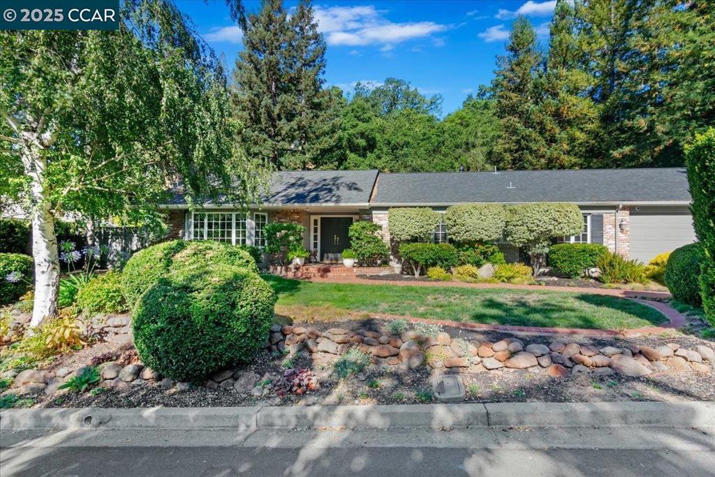 539 Dalewood Dr