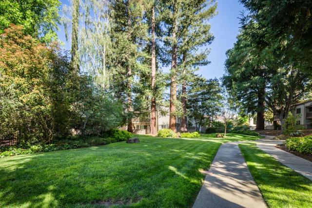 19414 Vineyard Lane, Saratoga CA: https://media.crmls.org/mediaz/5cedca4a-a9cd-4145-9e57-9bb8264a1518.jpg