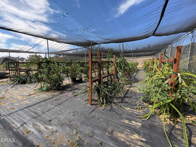 Detail Gallery Image 30 of 39 For 7907 Balcom Canyon Rd, Somis,  CA 93066 - – Beds | – Baths