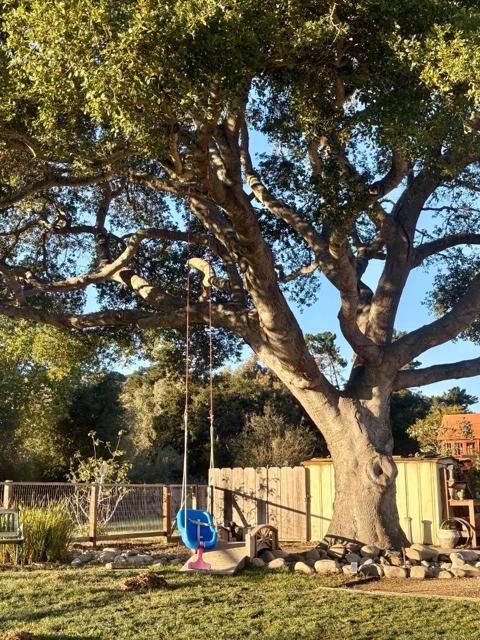 MLS #ML82028139 image #33