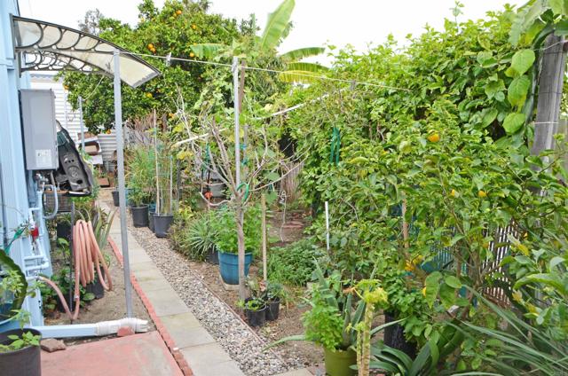 Detail Gallery Image 26 of 30 For 245 W Bobier Dr #SPC 91,  Vista,  CA 92083 - 2 Beds | 2 Baths