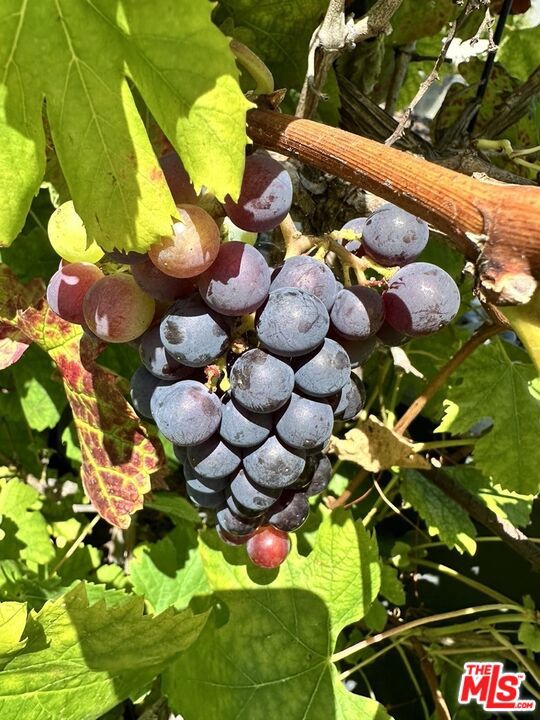 1625 18th Street, Manhattan Beach, California 90266, 4 Bedrooms Bedrooms, ,5 BathroomsBathrooms,Residential,For Sale,18th,26655945