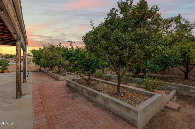 202 Faculty Street, Thousand Oaks CA: https://media.crmls.org/mediaz/5cff1ed6-a63f-4eb8-a1c5-93944940924c.jpg