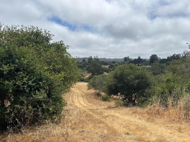 3230 Hillman Lane, Royal Oaks CA: https://media.crmls.org/mediaz/5d07a5f2-0df2-473a-9d8f-1806ac201440.jpg