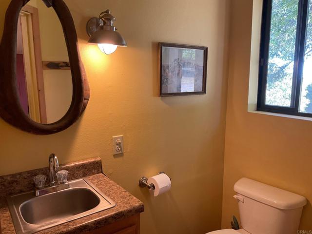 Detail Gallery Image 50 of 75 For 3413 Fern Meadow Rd, Palomar Mountain,  CA 92060 - 3 Beds | 3/1 Baths