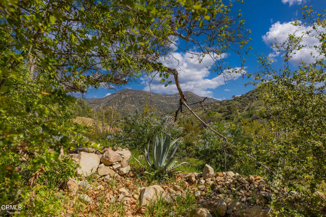 Detail Gallery Image 39 of 45 For 1458 Foothill Rd, Ojai,  CA 93023 - 3 Beds | 3/1 Baths