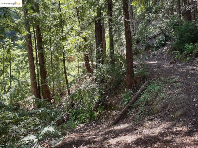 2950 Bear Canyon RD, Los Gatos CA: https://media.crmls.org/mediaz/5d0cdaad-5159-4c5e-ac10-8420b9ba00f8.jpg