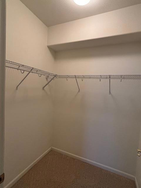 1360 Shady Lane, Turlock CA: https://media.crmls.org/mediaz/5d1f850c-a8ab-4e61-b35a-77048d27d261.jpg