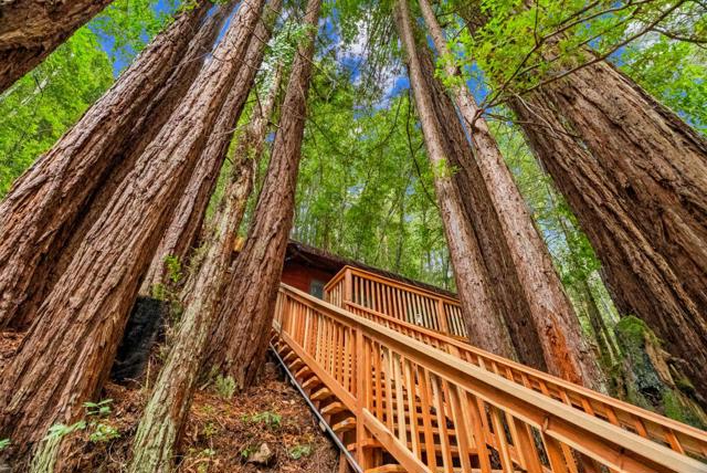 1741 Gold Gulch Road, Felton CA: https://media.crmls.org/mediaz/5d2d5ac6-a60c-437b-bad4-2edd40c5480a.jpg