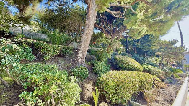 Detail Gallery Image 45 of 74 For 6611 Avenida De Las Pescas, La Jolla,  CA 92037 - 4 Beds | 3 Baths