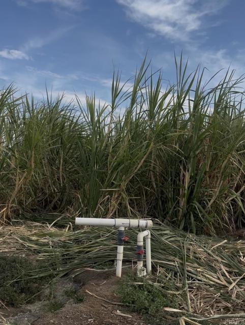 Image 3 of 31 For 2310 Highway 86 Road