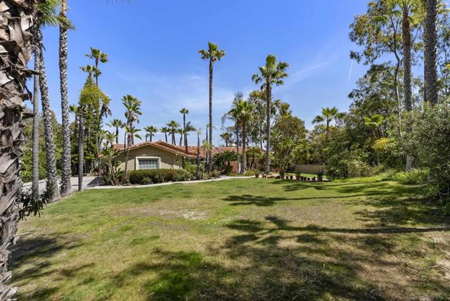 6518 Monte Fuego, Rancho Santa Fe CA: https://media.crmls.org/mediaz/5d3ee7ad-1348-412b-befc-636947d55565.jpg