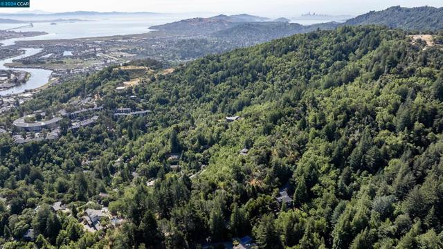 100 Black Log Rd, Kentfield CA: https://media.crmls.org/mediaz/5d45dd5d-2d2d-44df-80de-838f334a3411.jpg