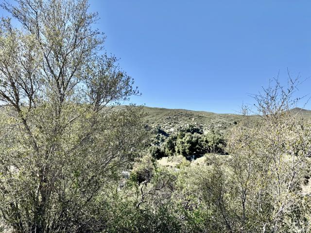 45860 Coyote Street, Banning CA: https://media.crmls.org/mediaz/5d4cf58d-0389-432e-a815-980f4882971e.jpg