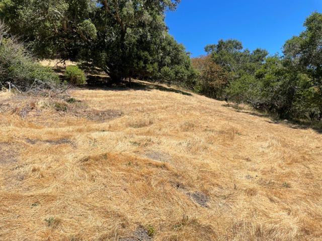 0 Tartan Trail Road, Hillsborough CA: https://media.crmls.org/mediaz/5d54c9a4-53ff-47c9-bcc3-19f4e9aeb27c.jpg