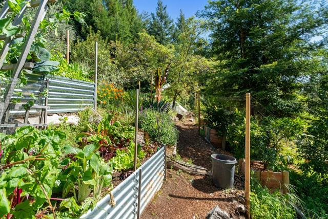 24101 Mountain Charlie Road, Los Gatos CA: https://media.crmls.org/mediaz/5d57bd7c-a9ec-47cf-90fa-12e691107b51.jpg