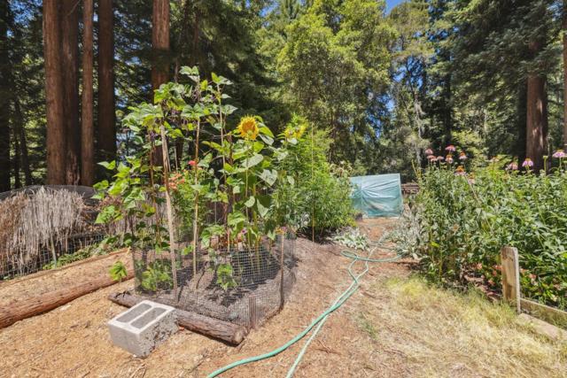 12256 La Lena Street, Felton CA: https://media.crmls.org/mediaz/5d57e25d-f755-43ce-8018-a8ea792dd726.jpg