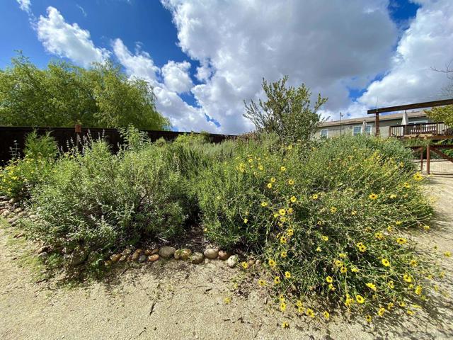 4311 Elma Ln, La Mesa, California 91942, 3 Bedrooms Bedrooms, ,2 BathroomsBathrooms,Single Family Residence,For Sale,Elma Ln,250038621SD