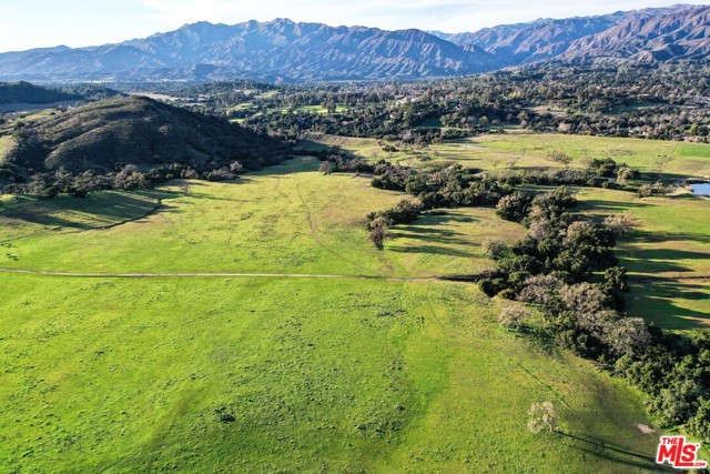 12516 Creek photo 2