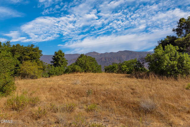 Detail Gallery Image 10 of 22 For 10331 Sulphur Mountain Rd, Ojai,  CA 93023 - – Beds | – Baths