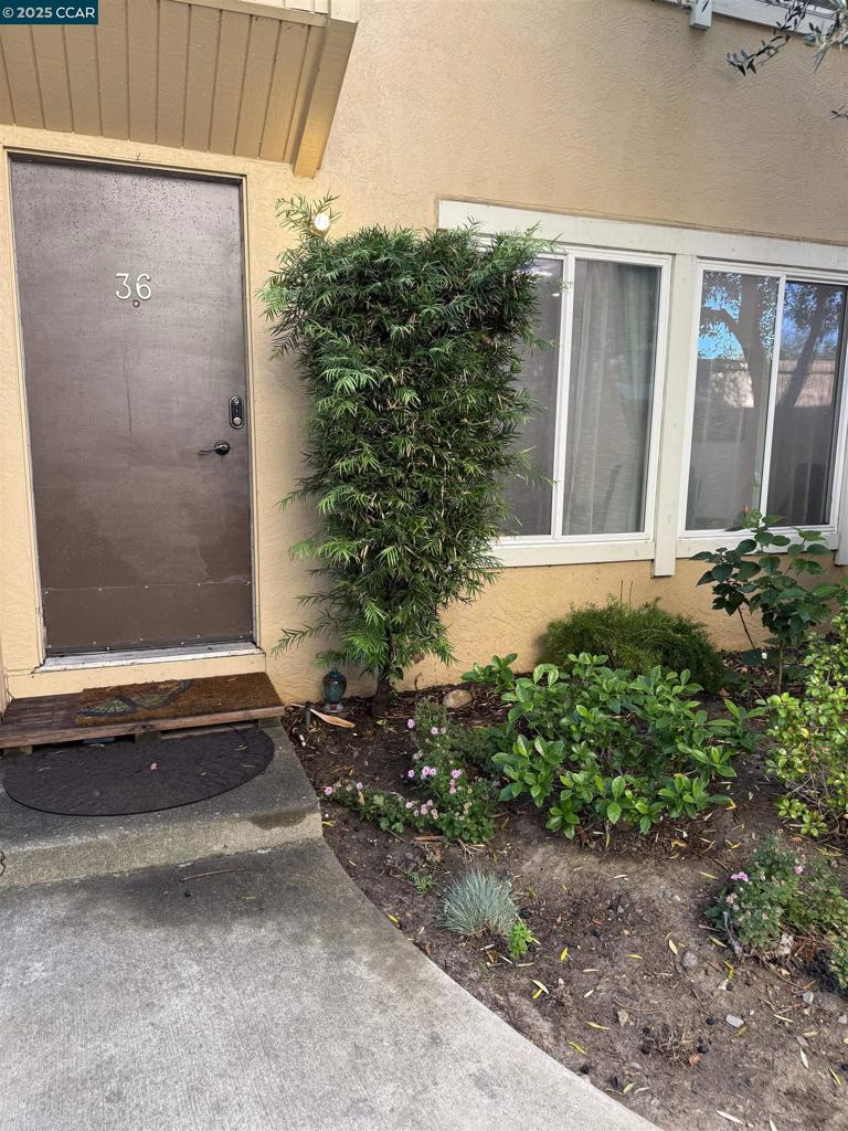 3055 Treat Blvd #36