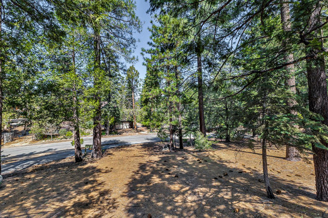 52551 Pine Ridge Road, Idyllwild CA: https://media.crmls.org/mediaz/5d77de9d-c161-4765-a089-03dbbad773b2.jpg