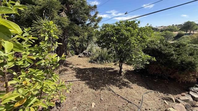 Detail Gallery Image 34 of 38 For 1905 El Dora St, Lemon Grove,  CA 91945 - 3 Beds | 2 Baths