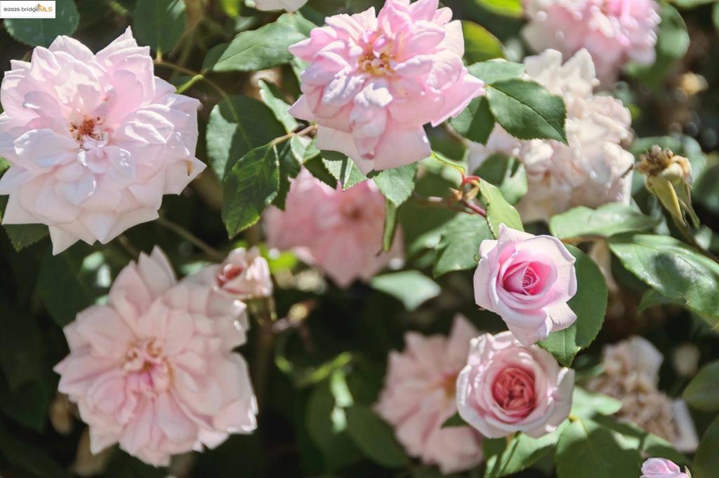 https://media.crmls.org/mediaz/5d9637bc-ddda-4e94-b38d-12125b3f7634.jpg?preset=X-Large