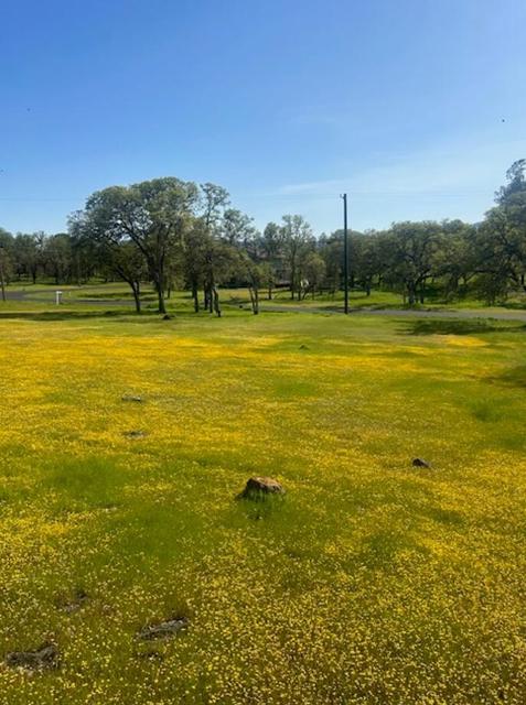 19630 Donkey Hill Road, Hidden Valley Lake CA: https://media.crmls.org/mediaz/5d9e87e9-3947-4fe4-9854-e97146678f1d.jpg