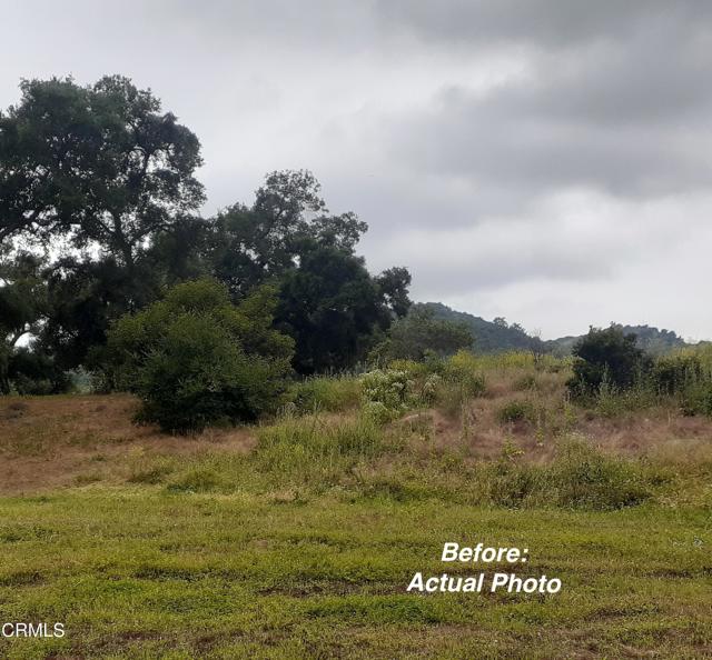 0 2 Burnham Road, Ojai CA: https://media.crmls.org/mediaz/5d9f7308-d8a1-4fd0-9879-a3750dbf69f2.jpg