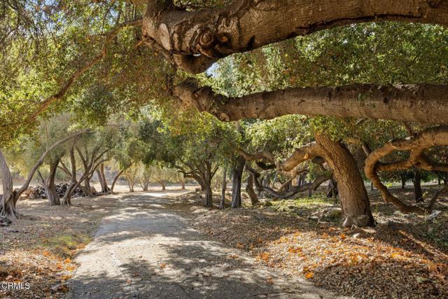 Detail Gallery Image 2 of 31 For 2250 Hermitage Rd, Ojai,  CA 93023 - 2 Beds | 2 Baths