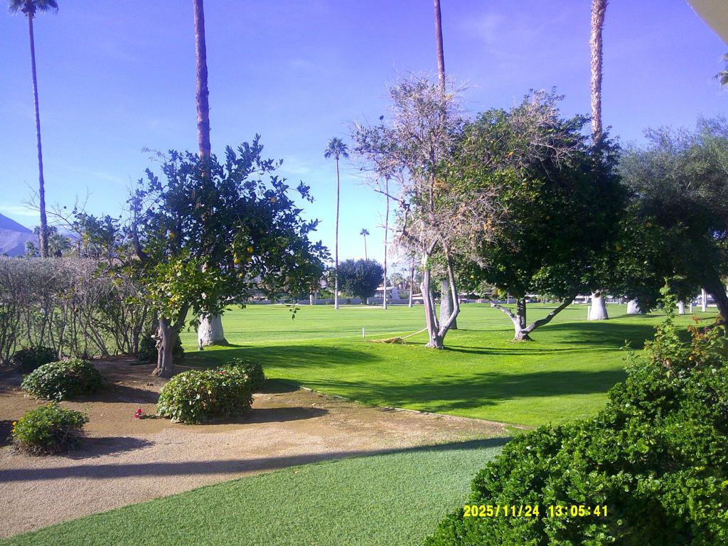 MLS #219139263DA image #2