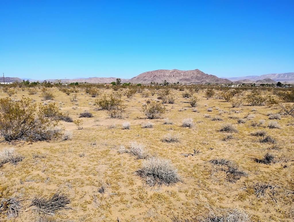 MLS #219138097DA image #5