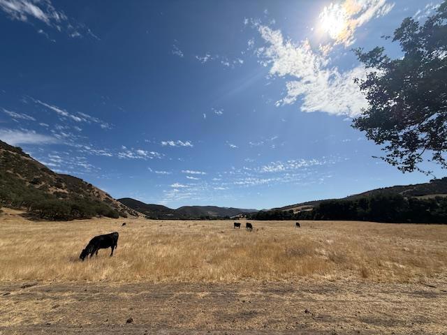 46480 Pine Meadow Place, King City CA: https://media.crmls.org/mediaz/5da56b36-9c40-4c57-8b51-7e3c6a1dd724.jpg