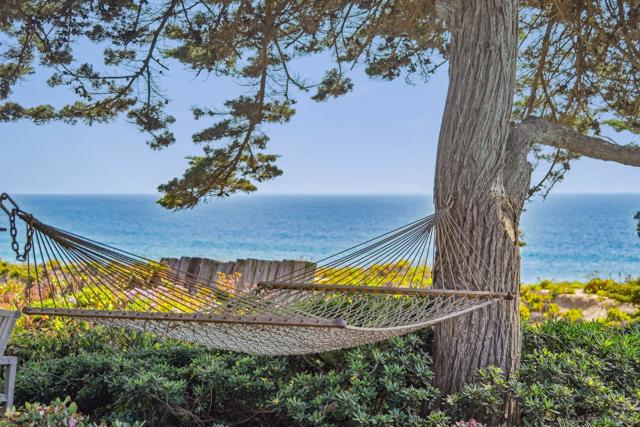 931 Ocean Ave, Del Mar CA: https://media.crmls.org/mediaz/5daba33e-2421-4a4e-a623-ff8e5d274f9e.jpg