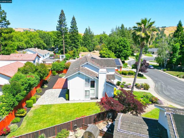 732 Graham Ct, Danville CA: https://media.crmls.org/mediaz/5dbb65f9-a9e3-46f9-af7f-8ef8945c1e13.jpg