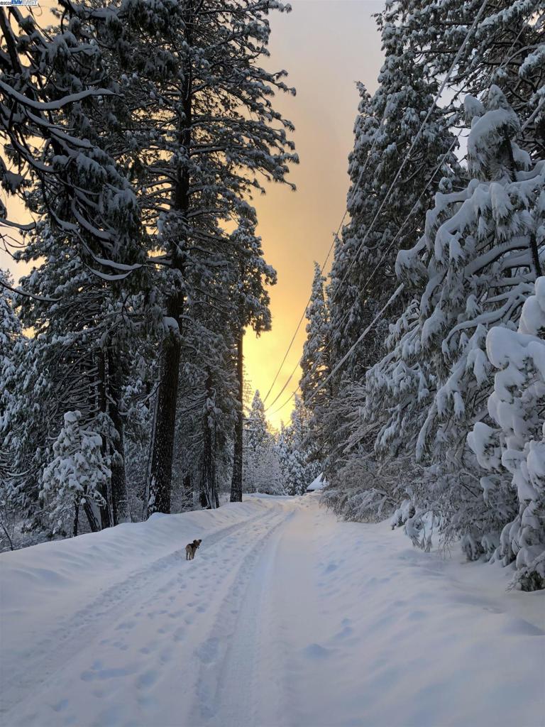 https://media.crmls.org/mediaz/5dbbef3a-d7bc-4ae6-b193-b54479ba7381.jpg?preset=X-Large
