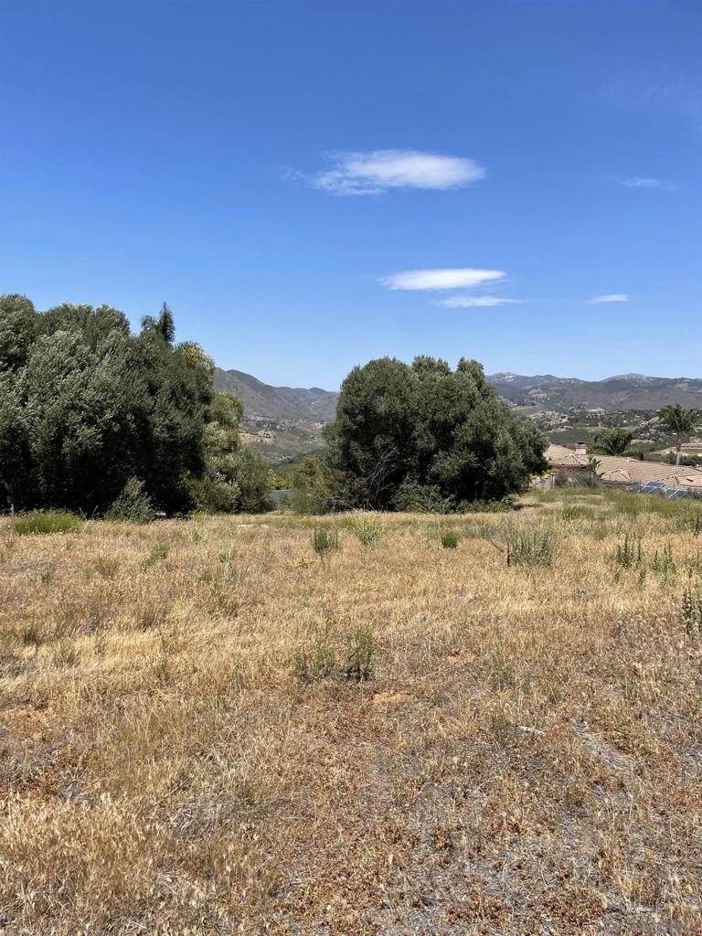 MLS #250029848SD img 8