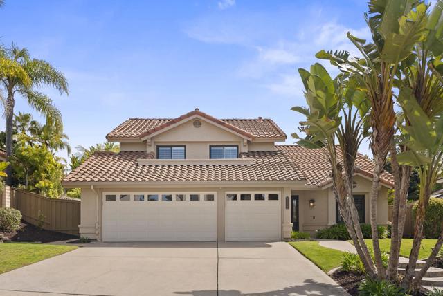 Front Image Thumbnail for CRNDP2602459