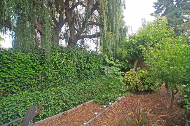 1138 Laurel Street, Santa Cruz CA: https://media.crmls.org/mediaz/5dc13ca2-ea2e-4e5f-a3ec-ef97c32f62e9.jpg