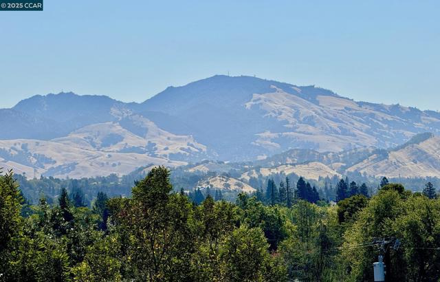 VIEWS OF MT. DIABLO