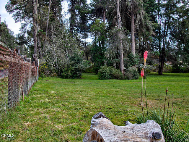 Detail Gallery Image 19 of 26 For 19100 Summers Ln, Fort Bragg,  CA 95437 - – Beds | – Baths