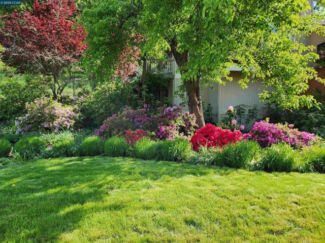 27 Toledo Dr, Lafayette CA: https://media.crmls.org/mediaz/5dd4e127-2662-4ad3-b947-694ef1efb8ce.jpg
