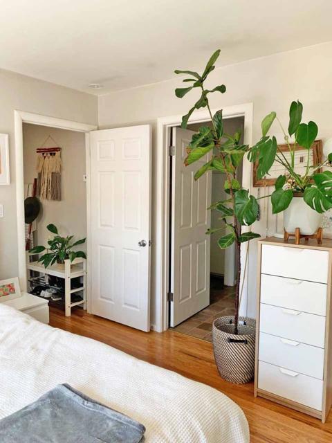 1138 Laurel Street, Santa Cruz CA: https://media.crmls.org/mediaz/5dd7b3d0-ccaa-4478-8d8d-2bf1fcba931f.jpg