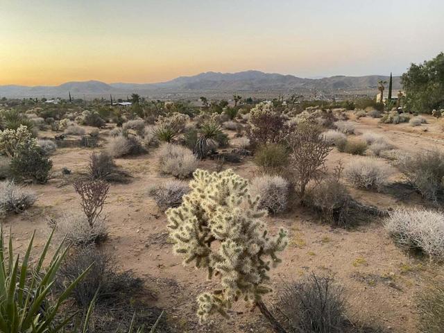 Image 3 for 0 Agave Rd, Joshua Tree, CA 92252